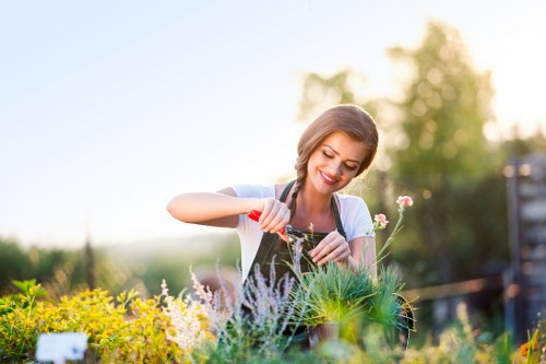 Gardener inspecting a garden before complaint review