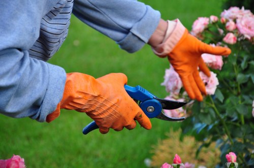 Senior manager reviewing gardening service complaint files