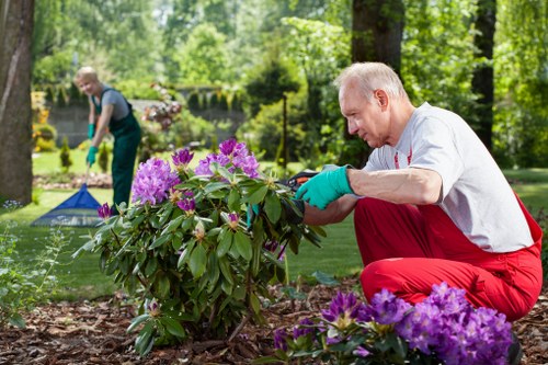 Gardener inspecting a residential garden path in Highgate