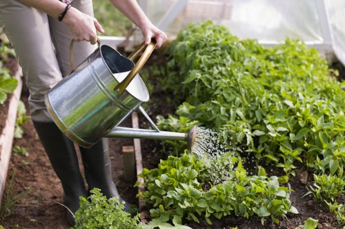 Lawn mowing equipment being used in a residential garden