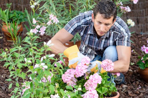 Supplier audit and due diligence process for garden services Highgate