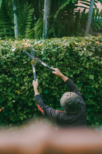 A man wearing glasses, a checkered shirt, and a black apron is preparing for garden maintenance in a well-maintained backyard. He is wearing white gloves and standing next to a lawnmower with a black 